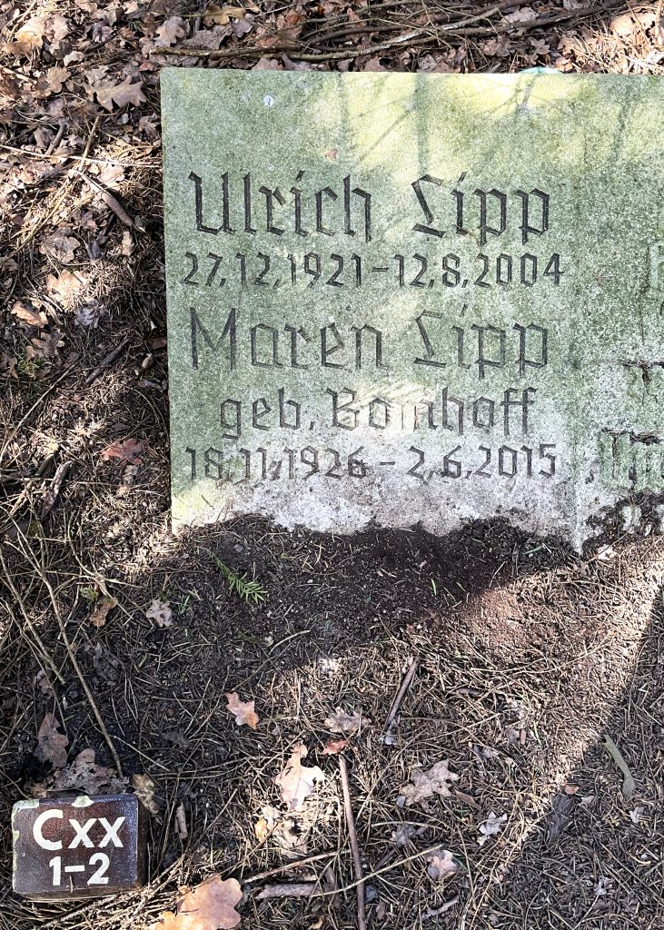 Maren Lipp